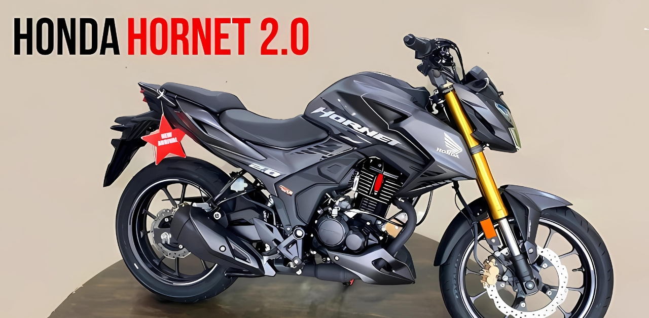 Honda Hornet 2.0